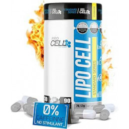 LIPO CELL