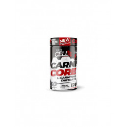 L-CARNITINA CORE