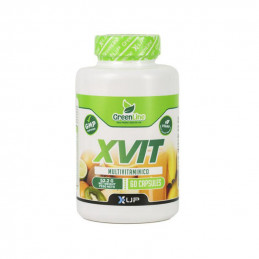 X-VIT