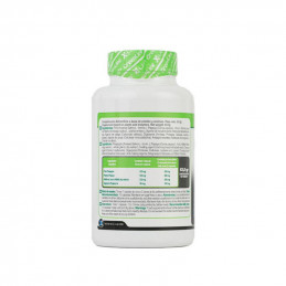 ENZYME ENZYME