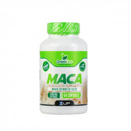 MACA