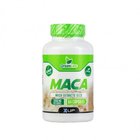 MACA