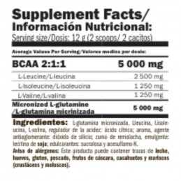 GLUTAMINE+BCAA GLUTAMINE+BCAA